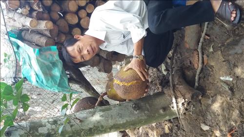 hẹn hò - Nguyen Trong-Nam -Tuổi:57 - Độc thân--Người yêu lâu dài