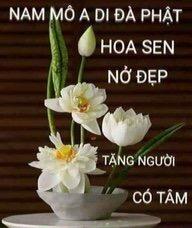 Tú
