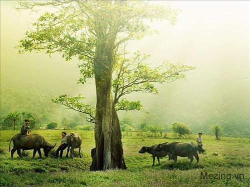 hẹn hò - Vinh-Nam -Tuổi:40 - Độc thân-TP Hồ Chí Minh-Người yêu lâu dài