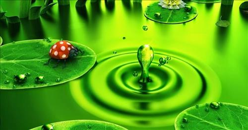 hẹn hò - love.me-Nam -Tuổi:38 - Độc thân-TP Hồ Chí Minh-Người yêu ngắn hạn