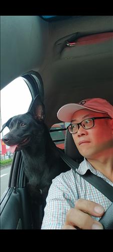 hẹn hò - Độc bước trong đêm.-Nam -Tuổi:45 - Độc thân-TP Hồ Chí Minh-Người yêu lâu dài