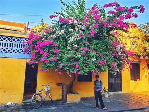 hẹn hò - Hoang Minh-Nam -Tuổi:24 - Độc thân-TP Hồ Chí Minh-Người yêu lâu dài