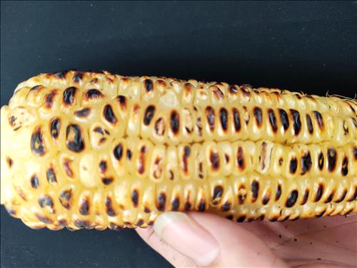 hẹn hò - Toàn Lê xuân-Male -Age:32 - Single-Nghệ An-Confidential Friend - Best dating website, dating with vietnamese person, finding girlfriend, boyfriend.