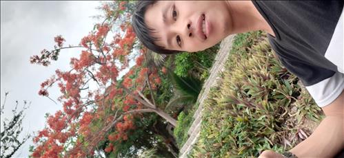 hẹn hò - phong Vũ-Male -Age:29 - Married-Quảng Ngãi-Confidential Friend - Best dating website, dating with vietnamese person, finding girlfriend, boyfriend.