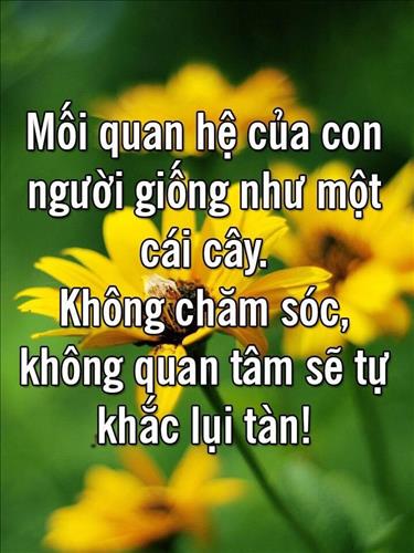 Nguyễn Tùng