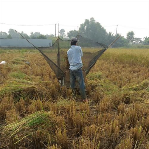 hẹn hò - TrungTin Nguyen-Nam -Tuổi:35 - Độc thân-TP Hồ Chí Minh-Người yêu lâu dài