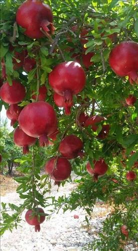 hẹn hò - Thành Tính Võ-Male -Age:35 - Single-TP Hồ Chí Minh-Short Term - Best dating website, dating with vietnamese person, finding girlfriend, boyfriend.