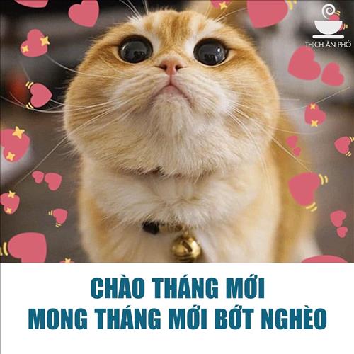 hẹn hò - Mai Nhut Linh-Nam -Tuổi:45 - Đã có gia đình-TP Hồ Chí Minh-Tìm bạn tâm sự