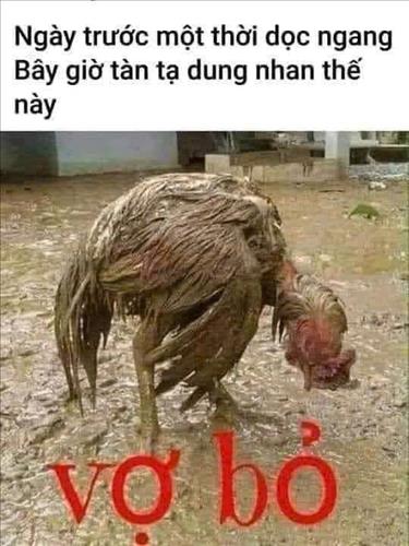 hẹn hò - Long hcm-Nam -Tuổi:42 - Ở góa-TP Hồ Chí Minh-Tìm bạn tâm sự