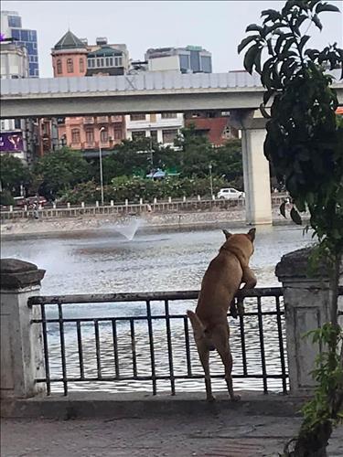 hẹn hò - hoang le-Nam -Tuổi:40 - Đang có người yêu-Hà Nội-Tìm bạn tâm sự