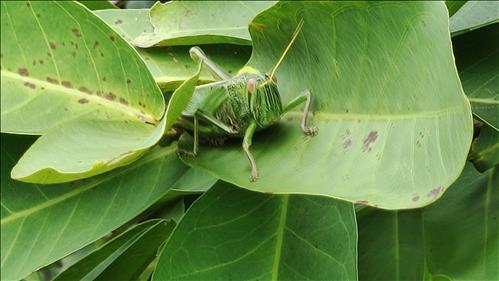 hẹn hò - Vinh Việt-Nam -Tuổi:32 - Độc thân-TP Hồ Chí Minh-Người yêu ngắn hạn