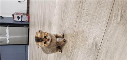hẹn hò - Tình như lá bay xa-Nam -Tuổi:41 - Độc thân-Hà Nội-Người yêu lâu dài