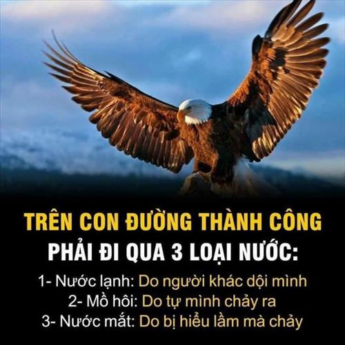 hẹn hò - thắng-Nam -Tuổi:45 - Ly dị-TP Hồ Chí Minh-Tìm bạn tâm sự