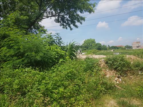 hẹn hò - Hoang Vu-Nam -Tuổi:35 - Độc thân-Hà Nội-Tìm bạn tâm sự