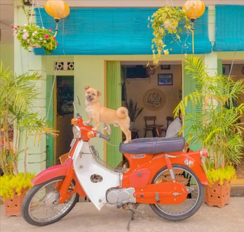 hẹn hò - TVB-Nam -Tuổi:43 - Độc thân-Đà Nẵng-Người yêu lâu dài