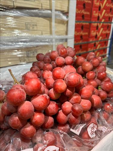 hẹn hò - 9x-Nam -Tuổi:30 - Độc thân-TP Hồ Chí Minh-Người yêu ngắn hạn