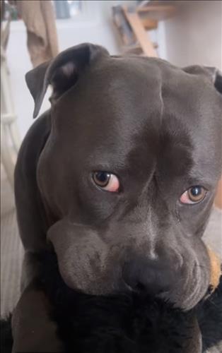 hẹn hò - Chau Chau-Nam -Tuổi:30 - Độc thân-TP Hồ Chí Minh-Tìm bạn bè mới