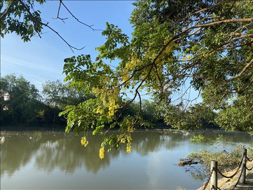 hẹn hò - Cát-Bụi-Nam -Tuổi:34 - Độc thân-TP Hồ Chí Minh-Người yêu ngắn hạn