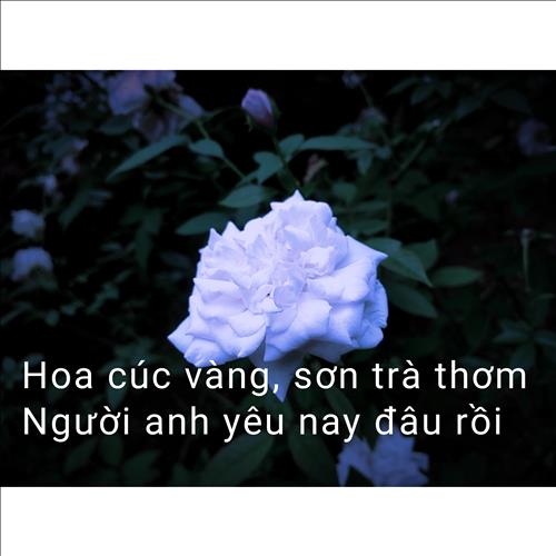 hẹn hò - Nguyễn Minh Phương-Nam -Tuổi:24 - Độc thân-Hà Nam-Người yêu lâu dài