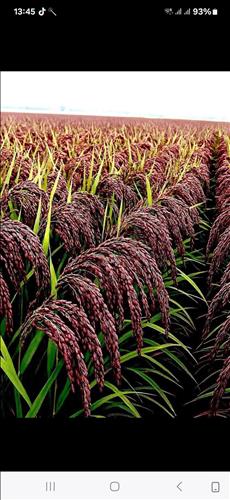 hẹn hò - Tim ban t sự-Nam -Tuổi:44 - Đã có gia đình-Hà Nội-Người yêu lâu dài