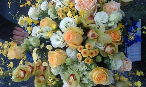 hẹn hò - Nhóc sếu-Male -Age:40 - Divorce-Hà Nội-Confidential Friend - Best dating website, dating with vietnamese person, finding girlfriend, boyfriend.