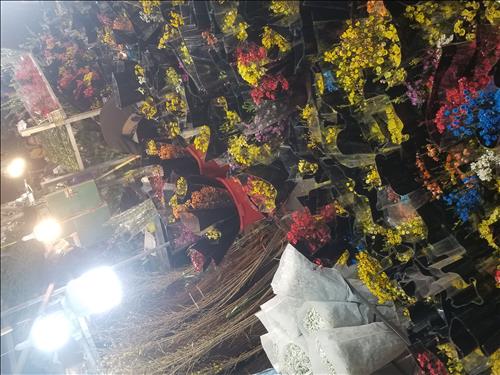 hẹn hò - Hạt Đậu-Nam -Tuổi:30 - Độc thân-Hà Nội-Tìm bạn tâm sự