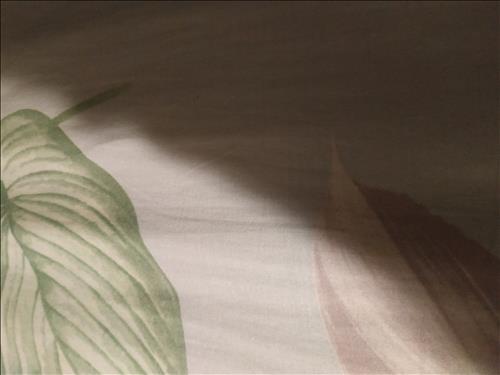hẹn hò - sn-Nam -Tuổi:35 - Độc thân-Hải Phòng-Người yêu ngắn hạn