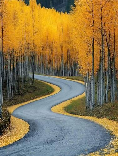 hẹn hò - Anh Hải-Nam -Tuổi:52 - Ly dị-TP Hồ Chí Minh-Người yêu lâu dài