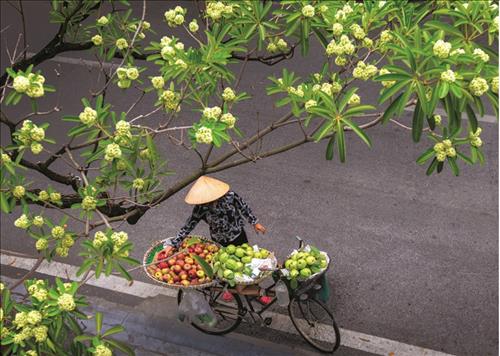 hẹn hò - Tôi yêu Hà Nội-Nam -Tuổi:43 - Đã có gia đình-Hà Nội-Tìm bạn tâm sự