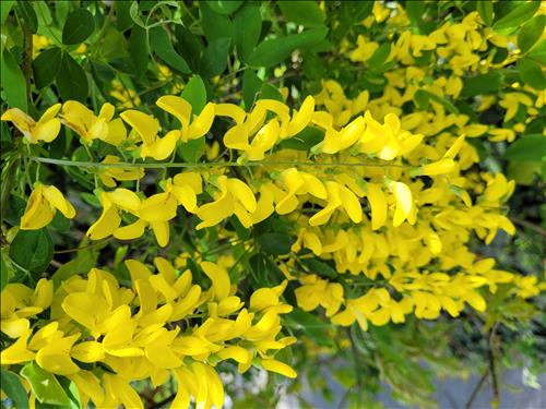 hẹn hò - Hoàng -Nam -Tuổi:51 - Đã có gia đình-TP Hồ Chí Minh-Người yêu ngắn hạn