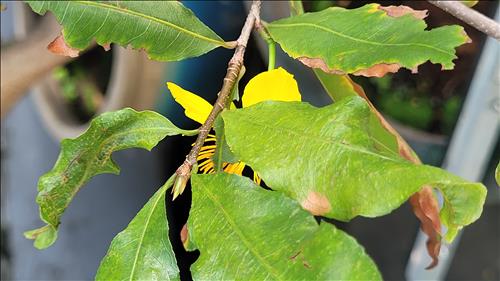 hẹn hò - Hoàng -Nam -Tuổi:51 - Đã có gia đình-TP Hồ Chí Minh-Tìm bạn tâm sự