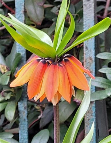 hẹn hò - Hoàng -Male -Age:51 - Married-TP Hồ Chí Minh-Confidential Friend - Best dating website, dating with vietnamese person, finding girlfriend, boyfriend.