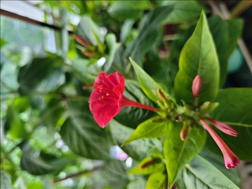 hẹn hò - Hoàng -Nam -Tuổi:51 - Đã có gia đình-TP Hồ Chí Minh-Tìm bạn tâm sự