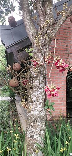 hẹn hò - Khách trọ -Nam -Tuổi:41 - Độc thân-TP Hồ Chí Minh-Người yêu lâu dài