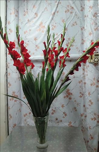 hẹn hò - Tâm-Nam -Tuổi:52 - Ly dị-Hà Nội-Người yêu lâu dài