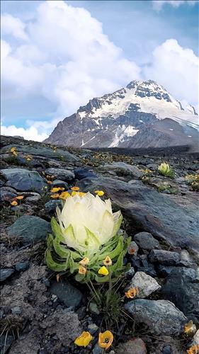 hẹn hò - Hoang Nam -Nam -Tuổi:38 - Độc thân-TP Hồ Chí Minh-Tìm bạn tâm sự