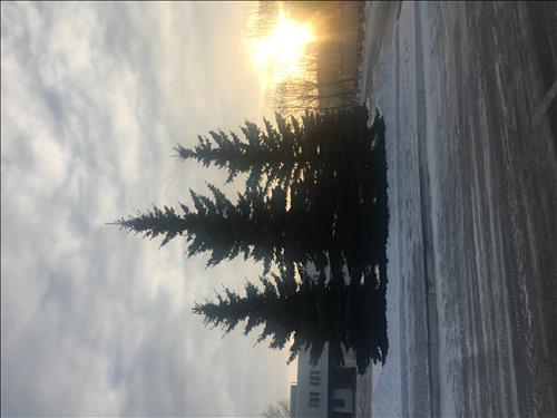 hẹn hò - THE DAWN-Nam -Tuổi:38 - Đã có gia đình-Hà Nội-Tìm bạn tâm sự