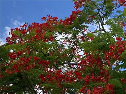 hẹn hò - Q. Duy-Male -Age:41 - Single-Đồng Tháp-Confidential Friend - Best dating website, dating with vietnamese person, finding girlfriend, boyfriend.