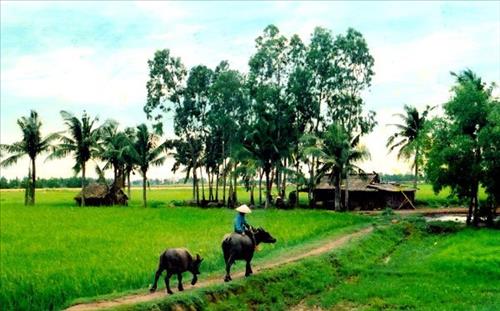 hẹn hò - Tình phai-Nam -Tuổi:41 - Đã có gia đình-TP Hồ Chí Minh-Tìm bạn tâm sự