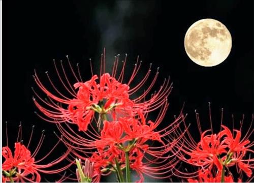 hẹn hò - Mr. Nhi€p Phong ! Lãng xẹt Đại sư !.-Nam -Tuổi:35 - Độc thân-Bình Dương-Người yêu lâu dài