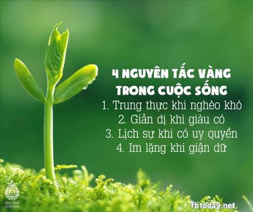 hẹn hò - Dennis-Nam -Tuổi:47 - Độc thân-TP Hồ Chí Minh-Tìm bạn bè mới