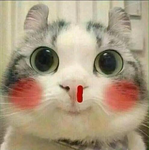 hẹn hò - Ngọc Minh -Nam -Tuổi:22 - Độc thân-Ninh Bình-Người yêu ngắn hạn