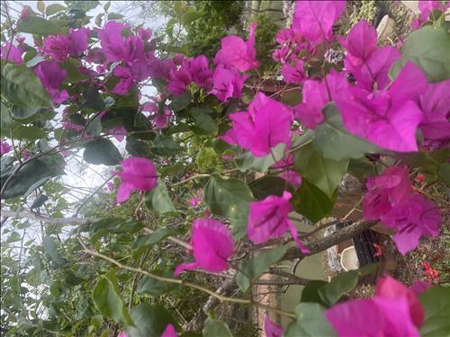 hẹn hò - Thiên Hải-Nam -Tuổi:36 - Đã có gia đình-Hà Nội-Tìm bạn bè mới