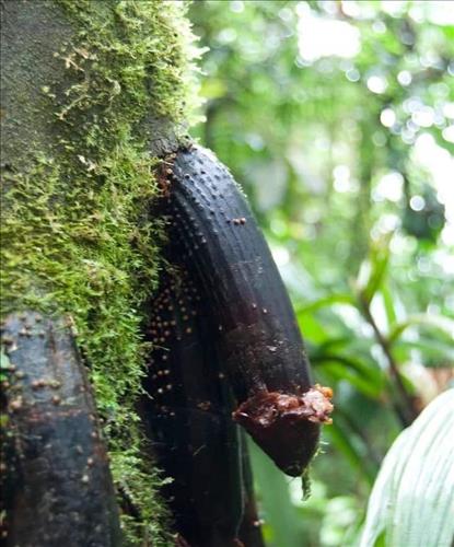 hẹn hò - Thichmaybay-Nam -Tuổi:29 - Độc thân-TP Hồ Chí Minh-Tìm bạn tâm sự