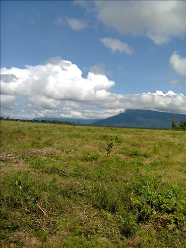 Namnhi