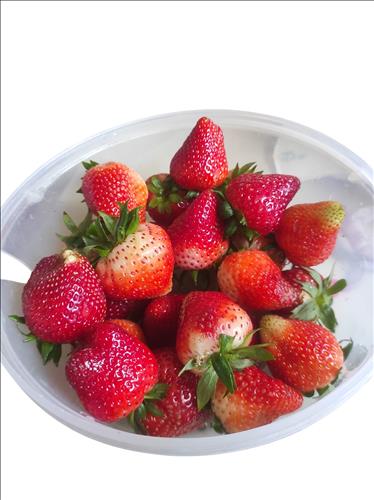 hẹn hò - Thanh An-Male -Age:48 - Married-Hà Nội-Short Term - Best dating website, dating with vietnamese person, finding girlfriend, boyfriend.