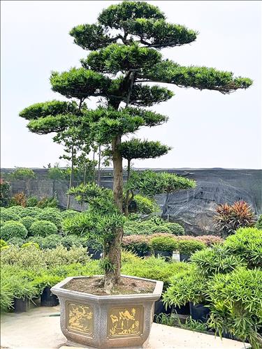 hẹn hò - Nguyễn đạt -Nam -Tuổi:40 - Độc thân-TP Hồ Chí Minh-Tìm bạn bè mới