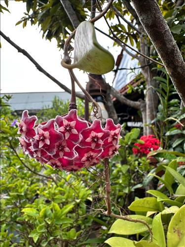 hẹn hò - Chiếc Dép cô đơn !-Nam -Tuổi:42 - Độc thân-TP Hồ Chí Minh-Người yêu lâu dài