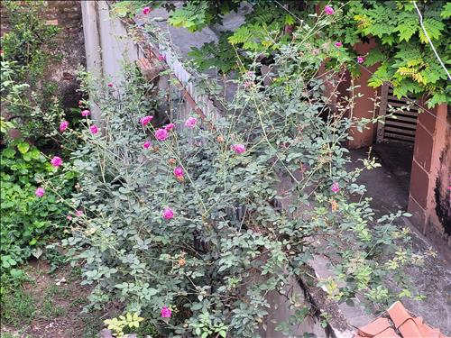 hẹn hò - Trung-Male -Age:47 - Divorce-Hà Nội-Confidential Friend - Best dating website, dating with vietnamese person, finding girlfriend, boyfriend.