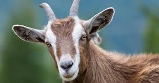 hẹn hò - Tuấn Dương-Male -Age:44 - Married-Hà Nội-Confidential Friend - Best dating website, dating with vietnamese person, finding girlfriend, boyfriend.